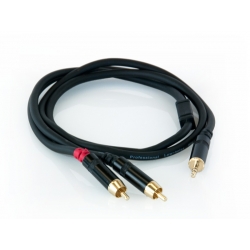 Master Audio RCA351/1 Cable 2RCA - Mini Jack 1m