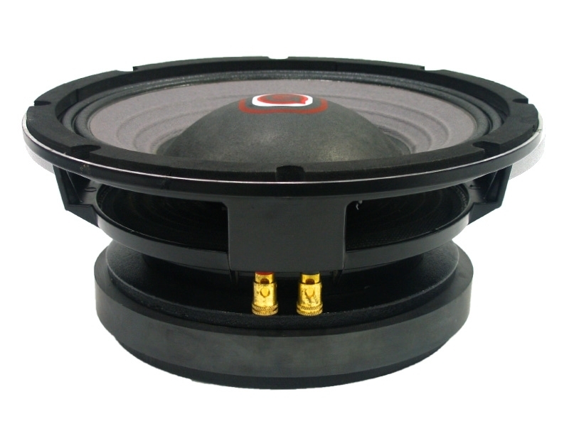 10 woofer 8 ohm